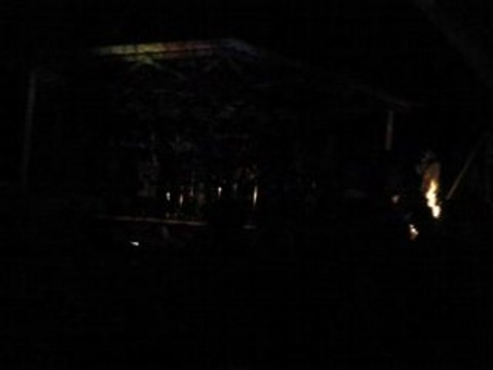 reggae nimbin