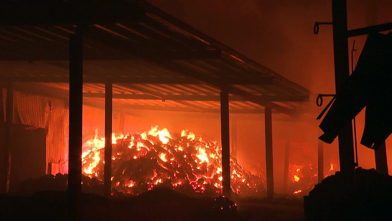 Más de una veintena de muertos por graves incendios forestales en Corea del Sur