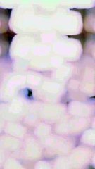 Alvidha Ramadan || Islamic Content||Naat Sharif#viralvideo#shortsfeed