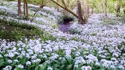 Inquiry to determine whether to allow proposals to install solar panels near to the villages of Middlestown, Overton and Netherton.