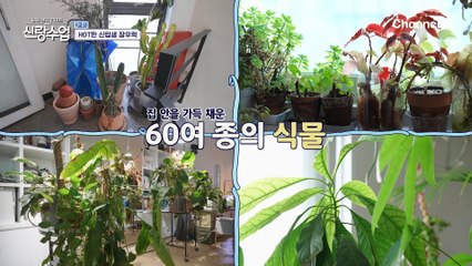 식물이 제일 좋아♨ 외로움을 달래주는 플랜테리어 전문가 장우혁
