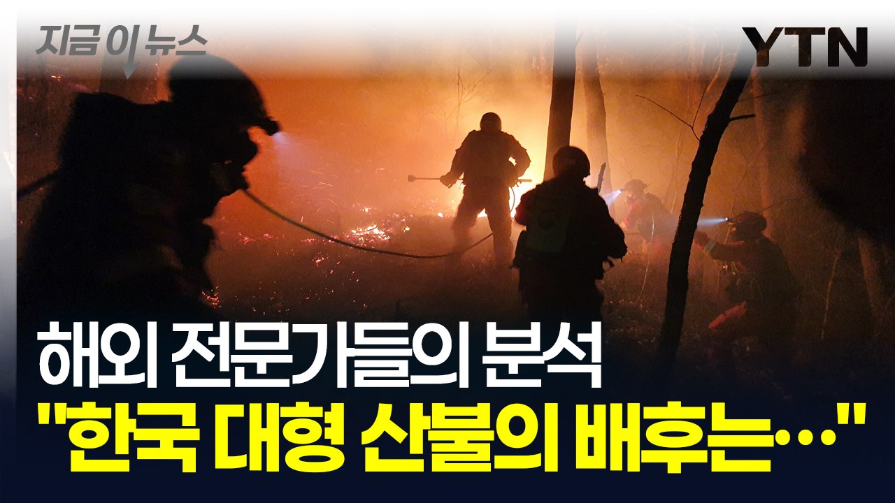 "인간 스스로가 초래한 재앙" 한국 산불 지켜본 해외 전문가들의 경고 [지금이뉴스]...