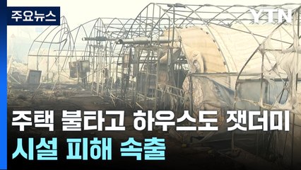 주택 불타고 하우스도 전소...시설 피해 속출 / YTN