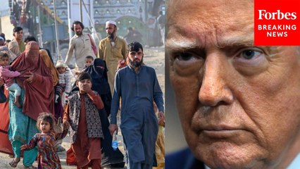 How Are Key Refugee Organizations Responding After Trump's Shock Pullback Of Government Help?