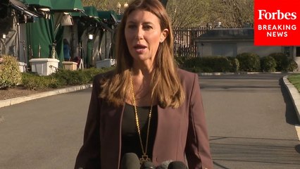 Alina Habba Calls Signal Leak Distraction: 'I Frankly Have Never Read The Atlantic'