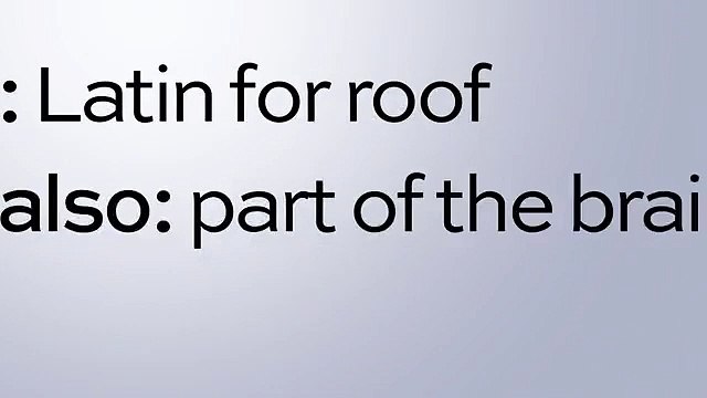 Commercial Roof Repair Experts | Quality Guaranteed