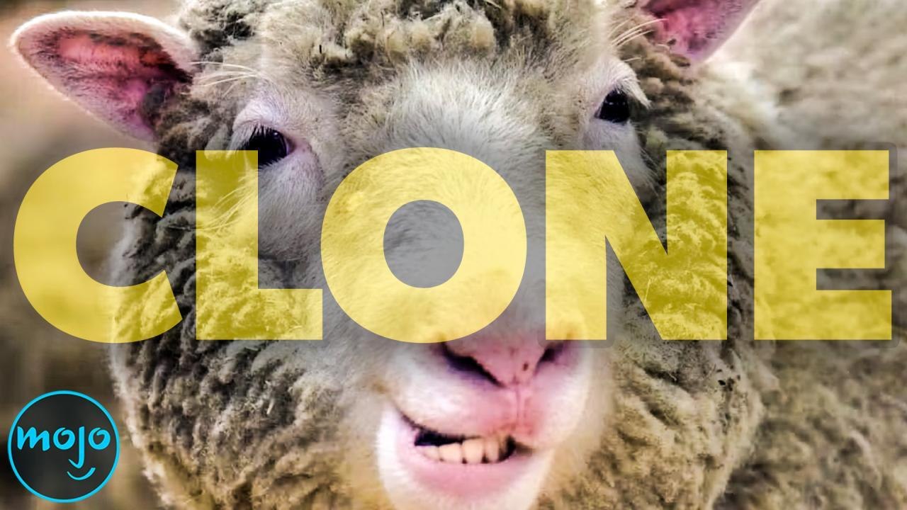 Top 10 90s Events that Changed Things FOREVER