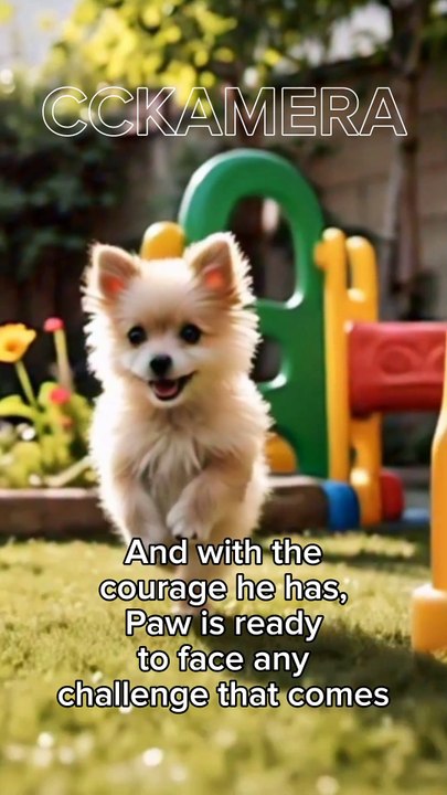 Little Dog