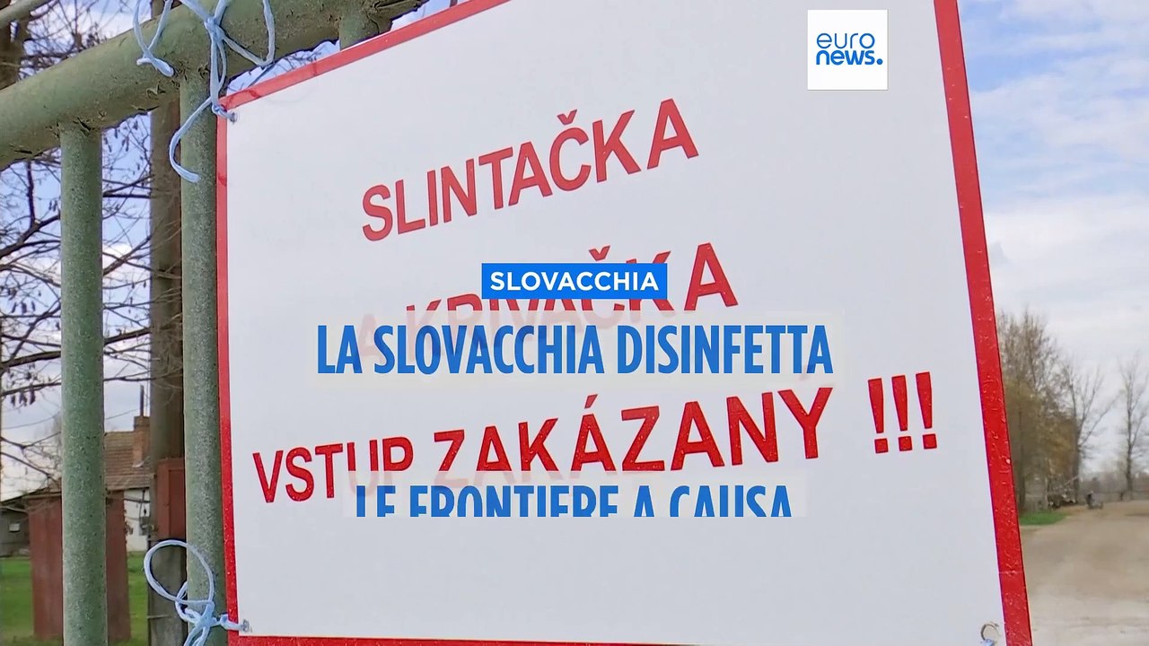 La Slovacchia "disinfetta" le frontiere dopo i focolai di afta epizootica