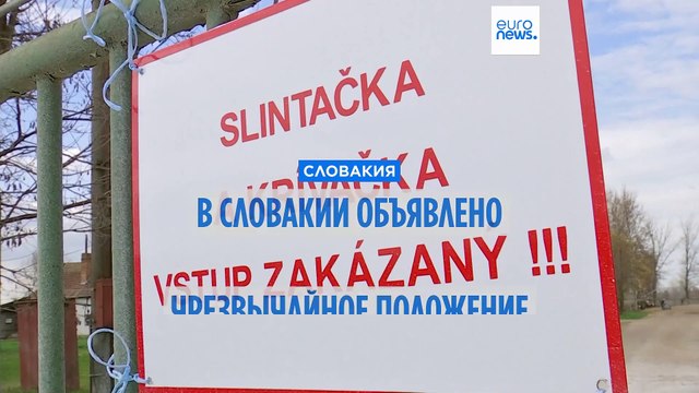 В Словакии объявлено ЧП из-за вспышки ящура