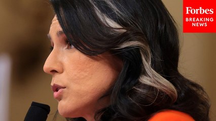Tulsi Gabbard Addresses Signal Group Chat Leak As She Delivers Annual Threat Assessment
