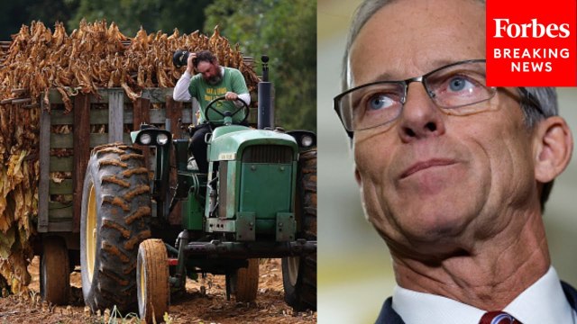 John Thune Calls For Bipartisan Support For A 'Full And Updated' Farm Bill