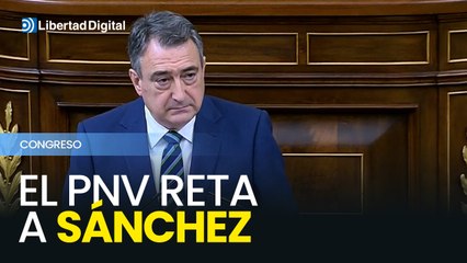 El PNV presiona a SÁNCHEZ para concretar el plan de defensa europea sin esperar al verano