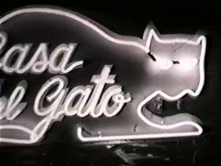 T.H.E. Cat (1966)  E02 - Sandman