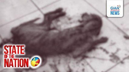 State of the Nation: (Part 2) Tinagang aso; Reporter era ni David; Kulitan with DenJen; Atbp.