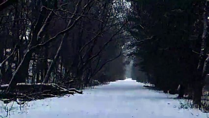 Frost Peak - Polvojack Official Music Video ❄️