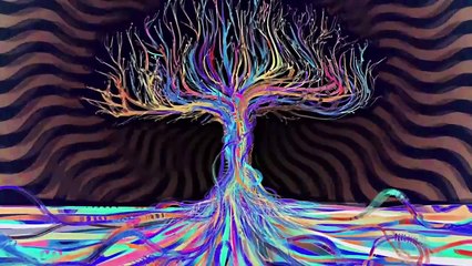 Try Minimal - Polvojack Official Music Video 🎶