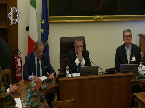 Roma - Legge di delegazione europea 2024 - Audizioni (26.03.25)