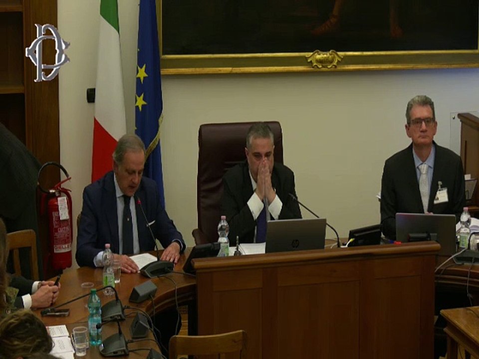 Roma - Legge di delegazione europea 2024 - Audizioni (26.03.25)