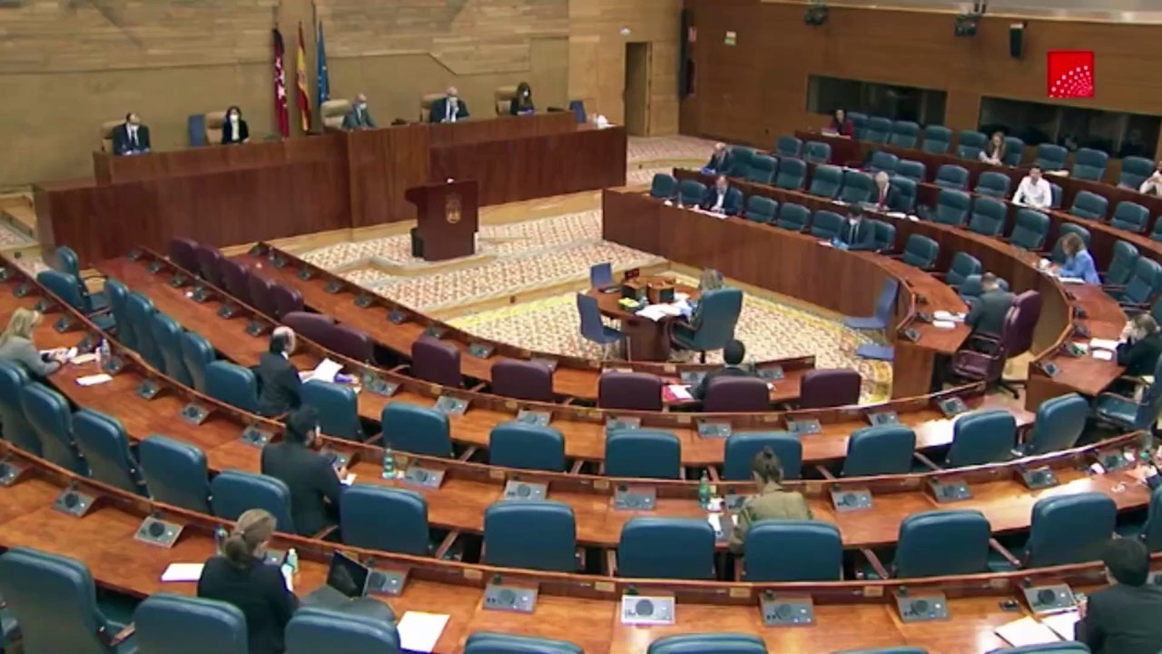 Loreto Arenillas (Más Madrid) renuncia a su acta de diputada