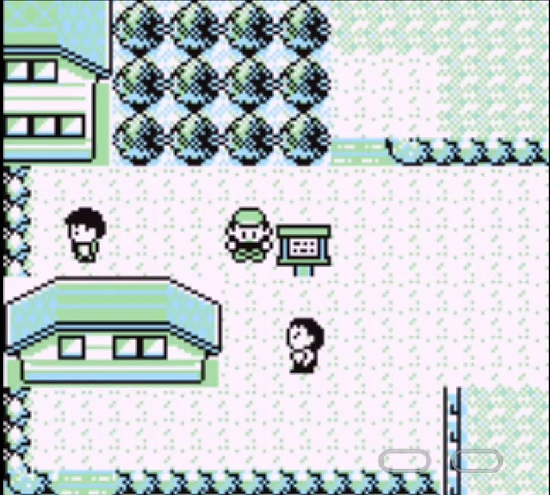 ⭐1re Gimnasio⭐ Pokémon Brown