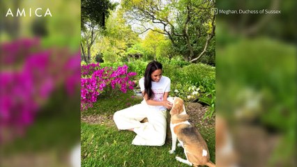 Gwyneth Paltrow e Meghan Markle, un video insieme per smentire la faida