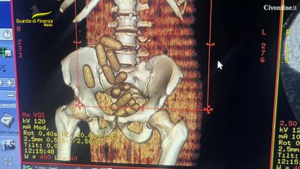 Seguestro di cocaina al porto di Civitavecchia