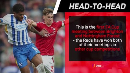 Brighton v Nottingham Forest - Big Match Predictor