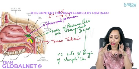 51. Clinical anatomy of pharynx part 4