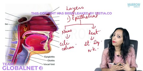 49. Clinical anatomy of pharynx part 2