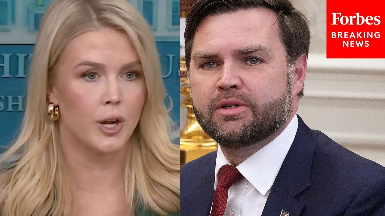 Reporter Asks Karoline Leavitt For Comment On JD Vance's Comments In Leaked Signal Group Chat