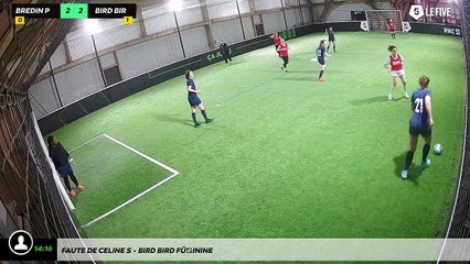 Faute de Celine S - Bird Bird Féminine