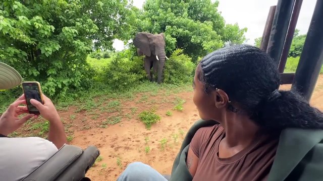 I Visited the Himba Tribe of Namibia _Namibia’s First People_ 🇳🇦 720