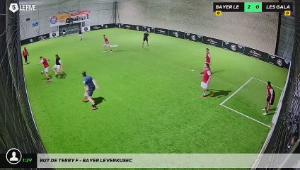 But de Terry F - Bayer Leverkusec