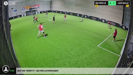 But de Terry F - Bayer Leverkusec