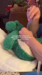 Dog Waits Attentively as Owner Repairs Its Favorite Toy