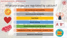 What processes are regulated by calcium? #metabolism #calcium