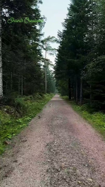Nature is extremely beautiful...