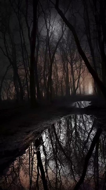 Nature is extremely beautiful...