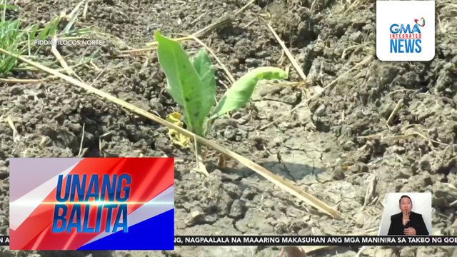 Ilang pananim, nasira dahil sa mainit na panahon | Unang Balita