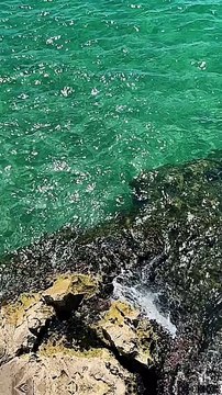 Faites confiance à une seule personne #motivation #conseils #citation #inspiration #success #proverbe #conseil