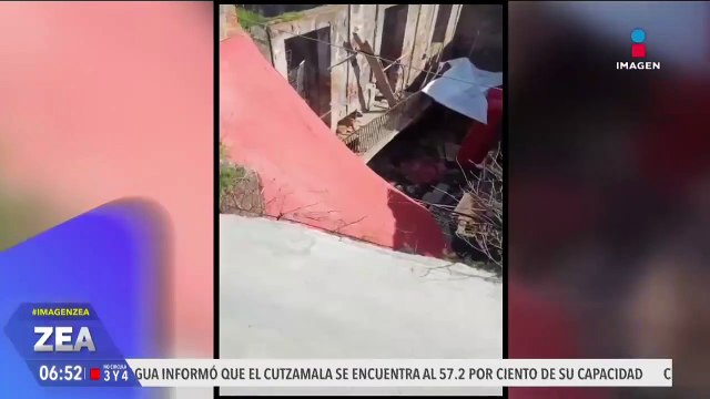 Rescatan a 9 perritos maltratados de una vivienda en Toluca, Edoméx