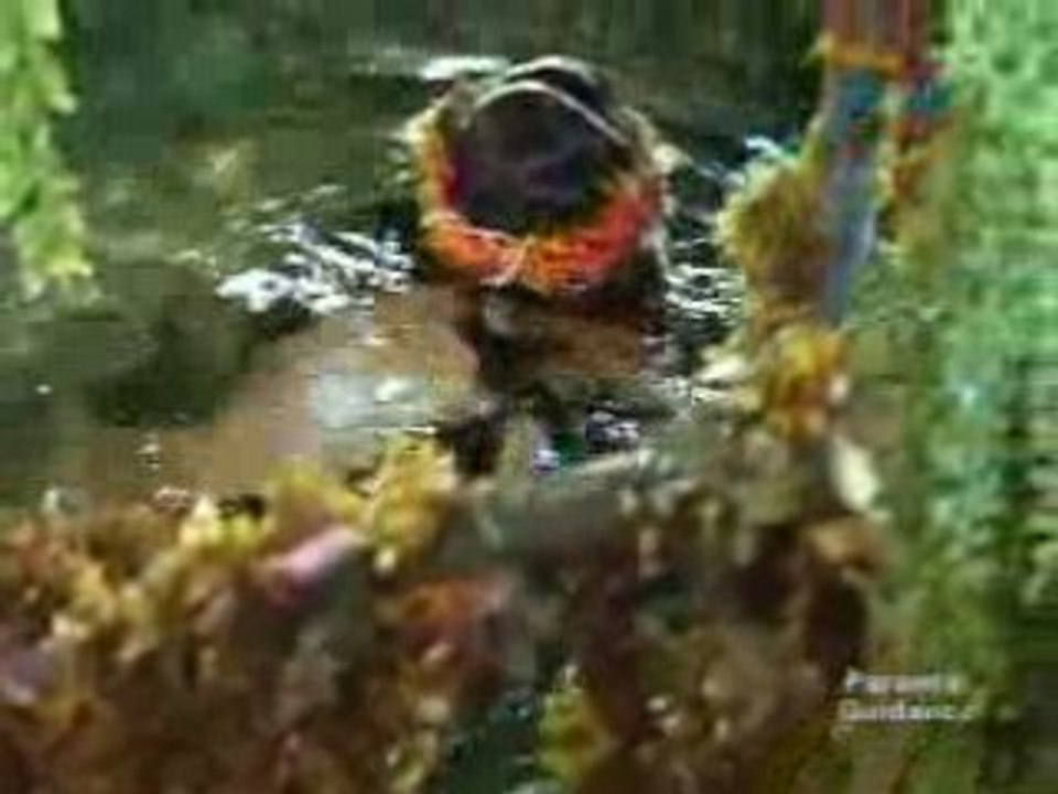 Isda may 5_chunk_2