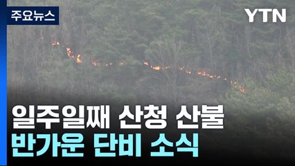 일주일째 안 꺼지는 산청 산불...반가운 단비 소식 / YTN