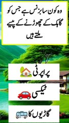 Islamic quick answer and jawab