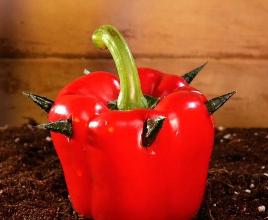 Clever Tricks to Boost Your Harvest!