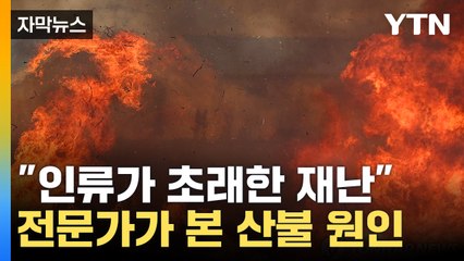 [자막뉴스] "한일 산불, 더 자주 날 것"...기후 전문가들 '한목소리' / YTN