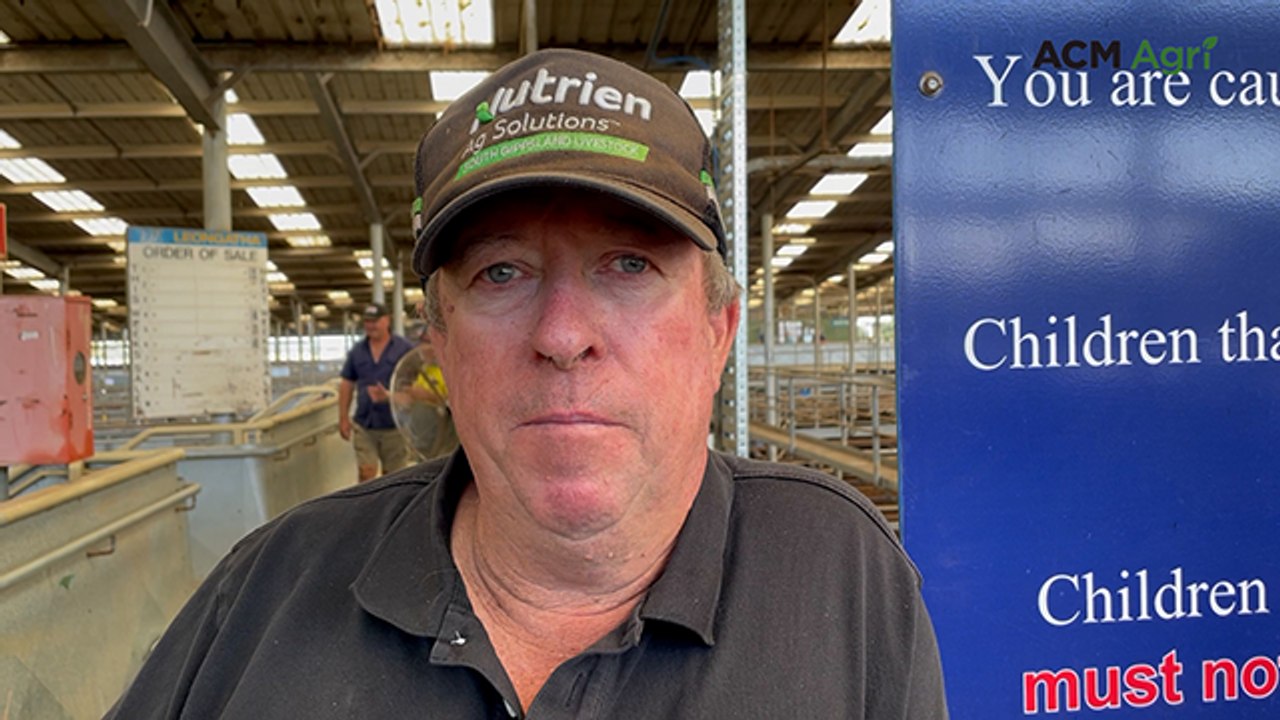 Koonwarra Victorian Livestock Exchange store cattle market