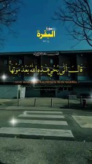 Surah Al-Baqara  A Chapter of Guidance, Mercy, and Protection #SurahAlBaqara #QuranRecitation #IslamicGuidance #Faith #DivineMessage