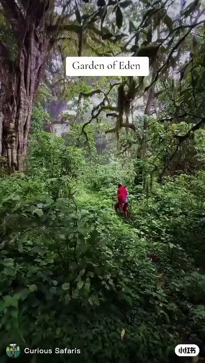 Joyful journey